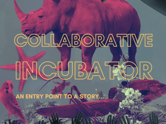 Collaborative Incubator Toolkit: An Entry Point to a Story…