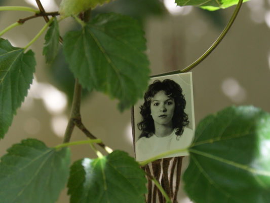 Performing Migratory Identity: Performance Research on Displacement, Belonging and Auto/Bio and Participatory Biography