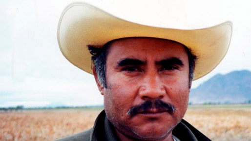 Televisualising Transnational Migration: The New Americans