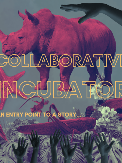 Collaborative Incubator Toolkit: An Entry Point to a Story…
