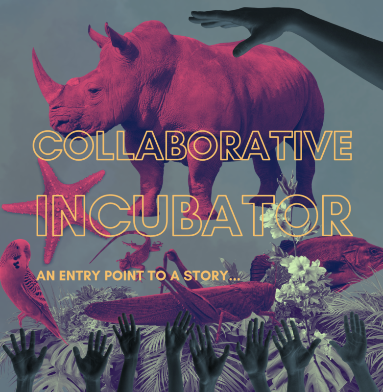 Collaborative Incubator Toolkit: An Entry Point to a Story…